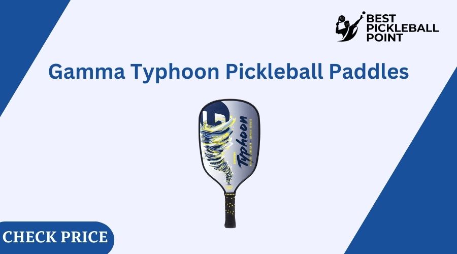 High price pickleball paddle