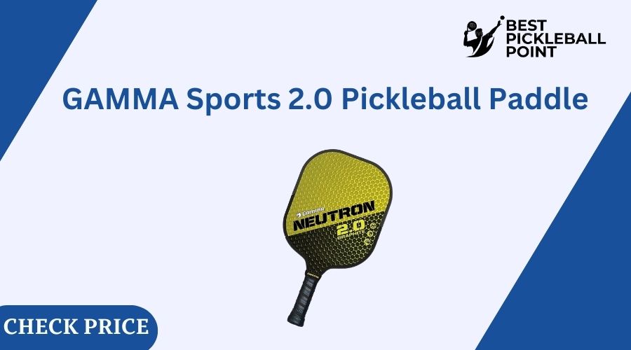 Pickleball paddles for beginners 2023