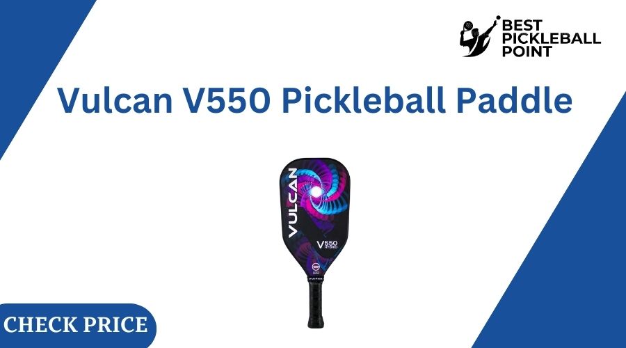 Pickleball Paddles With Long Handles
